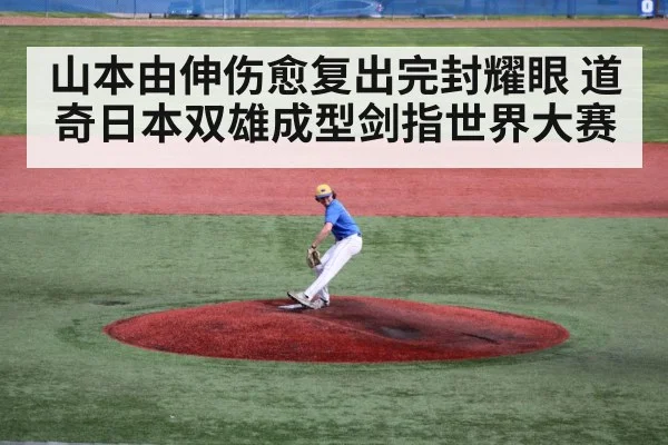 baseball pitcher on mound
