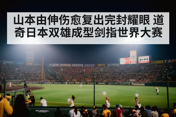 baseball stadium at night
